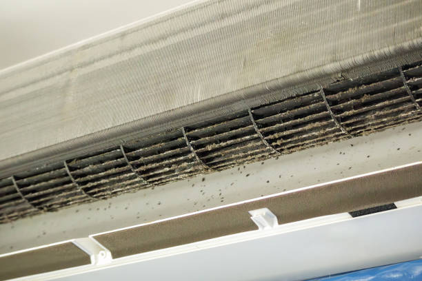 Best Ventilation Cleaning Services  in Lehigh Acres, FL